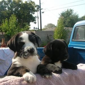 Meet your Posher, Elane